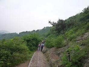 爬山吃秋瓜,品味秋瓜的甘甜时光