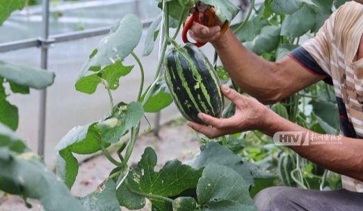 杭州摩友吃瓜,一场“吃瓜”引发的骑行圈热议事件