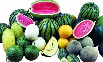 杭州摩友吃瓜,一场“吃瓜”引发的骑行圈热议事件