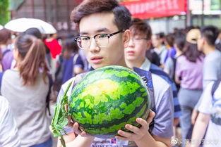 学生家长吃瓜,揭秘校园那些事儿