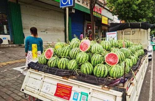 云南网友在线吃瓜,揭秘网络热点背后的故事