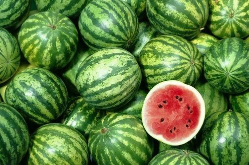 西瓜视频上吃瓜,揭秘吃瓜群众的快乐源泉