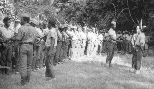 瓜吃瓜马光复,揭秘网络热梗背后的故事与影响