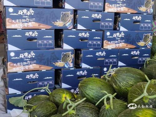 斗牛吃的瓜,探寻瓜果中的独特风味