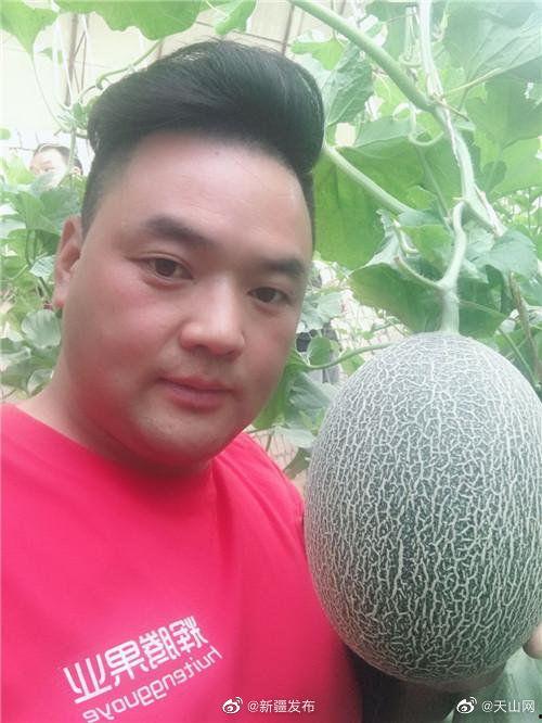 哪里看直播吃瓜,吃瓜群众如何紧跟热点