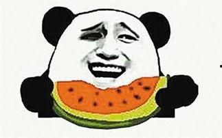 华丽的吃瓜群众,揭秘娱乐圈幕后风云