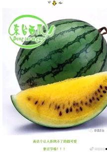 吃微信瓜,那些你不知道的“吃瓜”故事