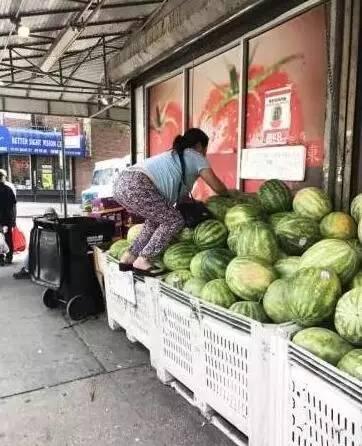 路人吃的瓜,揭秘路人“吃瓜”背后的故事