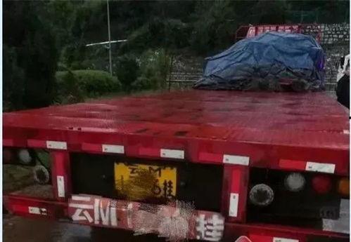 货车吃瓜群众视频,揭秘货车司机的生活百态