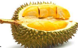 吃瓜的榴莲,揭秘榴莲的独特魅力