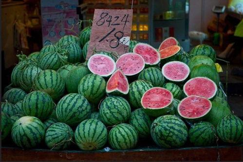 郊区吃瓜,瓜果飘香，共享欢乐时光