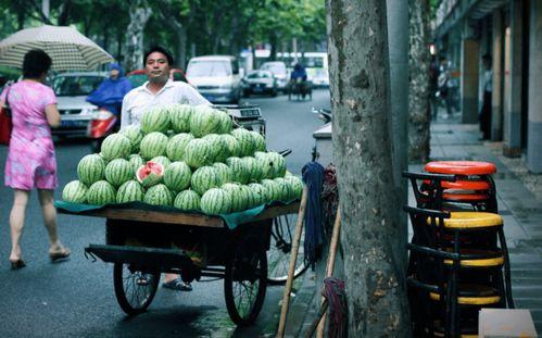 郊区吃瓜,瓜果飘香，共享欢乐时光