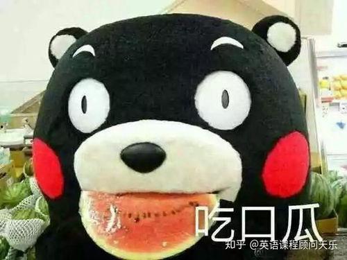 吃瓜表达视频的句子,吃瓜群众视角下的短视频盛宴