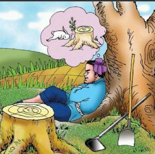 吃瓜群众守株待兔,吃瓜群众的智慧与等待