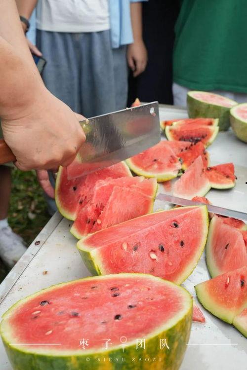 吃自己的瓜视频,揭秘“吃自己的瓜”视频背后的故事