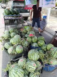 天河广场吃瓜事件,一场引发热议的街头冲突