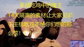 可以吃的呆瓜,可食用呆瓜的奇幻之旅