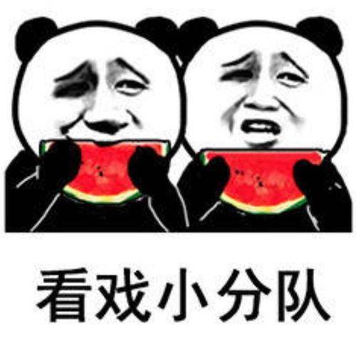 吃瓜吃鱼表情包,趣味横生的网络文化现象