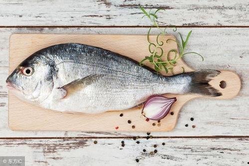 小鱼不吃鱼吃瓜视频,小鱼弃鱼食瓜的趣味日常