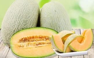 吃蜜瓜嗓子痒,蜜瓜诱人却嗓子痒？揭秘夏日消暑美食的甜蜜陷阱