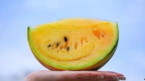 吃瓜吃到小黄,吃瓜小能手意外解锁“小黄”新境界