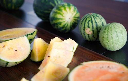 吃瓜吃到小黄,吃瓜小能手意外解锁“小黄”新境界