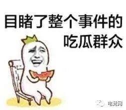 开放吃瓜群众视频,一场全民参与的娱乐盛宴