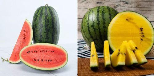 瑷珈吃瓜,揭秘娱乐圈幕后故事