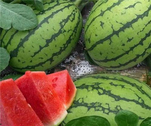 每日吃瓜必吃大瓜分享,揭秘娱乐圈大瓜，带你领略幕后风云