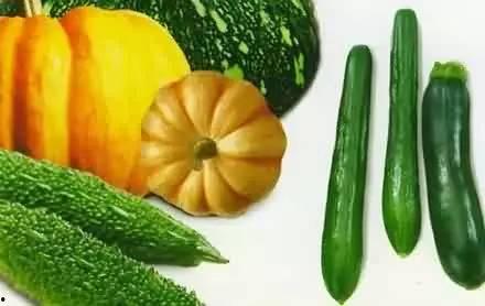 应该怎么吃瓜,如何正确享受夏日清凉