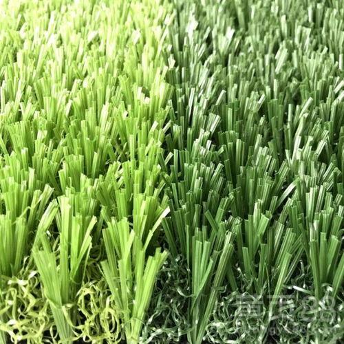 草坪视频吃瓜,吃瓜群众的欢乐盛宴