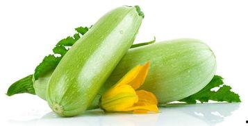 鲜角瓜怎么吃,探索美味与营养的完美结合