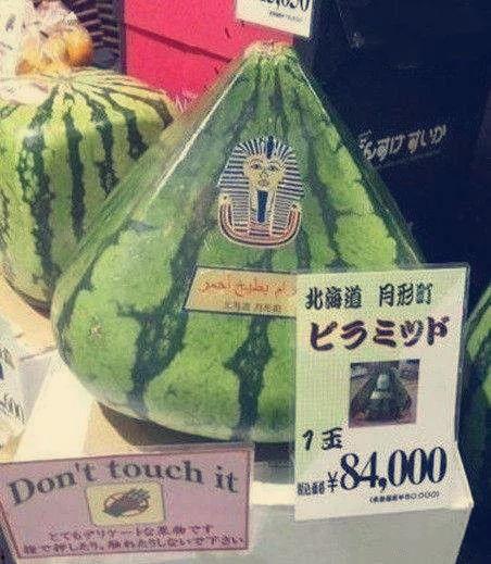 最强吃瓜群众图文小说,揭秘娱乐圈幕后风云