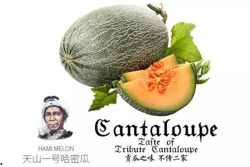 最强吃瓜群众图文小说,揭秘娱乐圈幕后风云