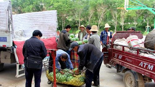 沅陵吃瓜群众事迹,见证时代变迁的民间观察者