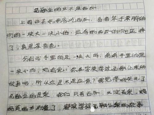 吃酉瓜的作文,一场味蕾与历史的邂逅