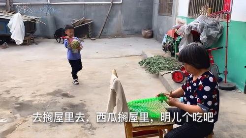 小孩吃瓜叫奶奶,小孩吃瓜叫奶奶的温馨瞬间