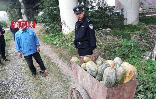 落九川吃瓜事件,揭秘娱乐圈背后的真相与争议