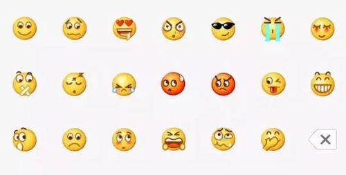 吃瓜群众表情表,笑点与泪点的完美融合