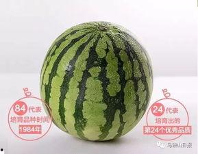 形容吃瓜的古诗,古诗词中的吃瓜图景