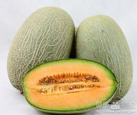 带牙套吃哈密瓜有用吗,带牙套期间食用哈密瓜的效果探讨