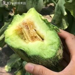 聊城最近吃瓜有点多,近期热点事件盘点