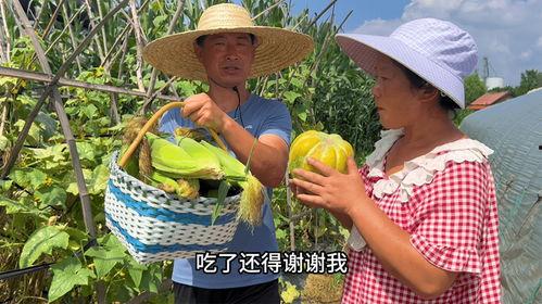 长春二嫂吃瓜,揭秘网络热传事件背后的真相