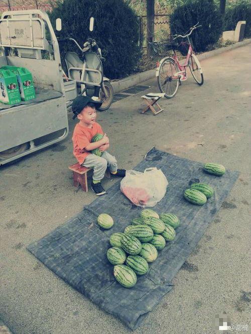 吃瓜小板凳图片,揭秘网络热议背后的趣味与真相