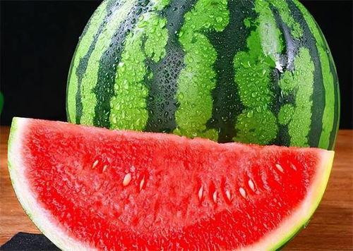 吃西瓜麒麟瓜视频,麒麟瓜美味大揭秘