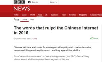 吃瓜群众网址b,带你走进网络舆论的神秘世界