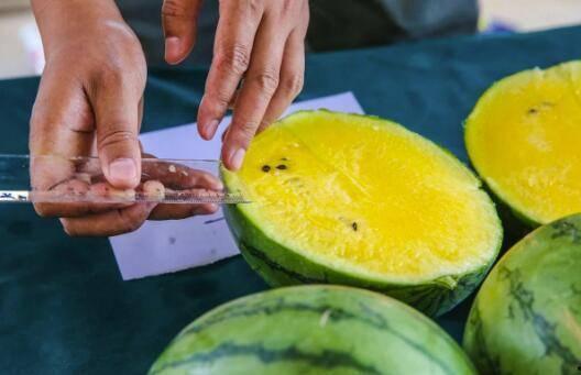 百高吃瓜,揭秘娱乐圈幕后真相