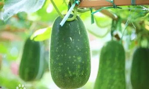 百高吃瓜,揭秘娱乐圈幕后真相