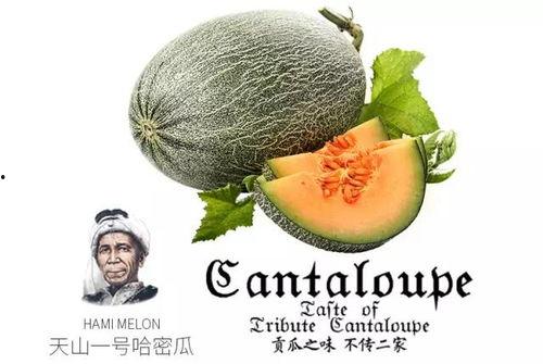 吃瓜二十号,一场网络热议背后的真相