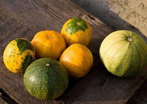 牛角瓜小孩可以吃吗,儿童食用指南与注意事项